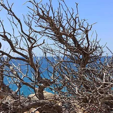 בית נופש A Casa Di Sara